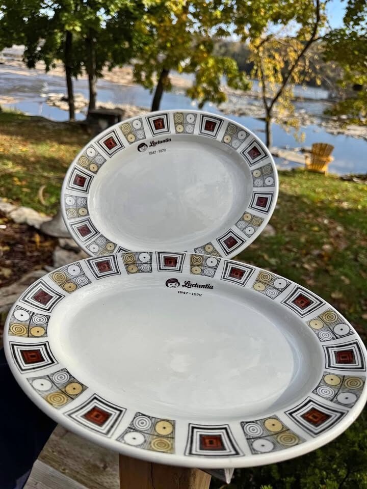 Dairy Memorabilia Lactantia Kathie Winkle Ironstone Platters