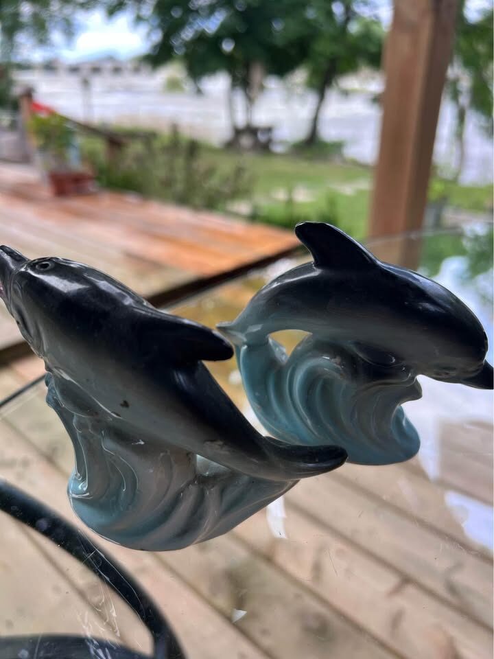 Vintage Florida Dolphin Salt & Pepper Shakers - Retro Collectible Pair! - photo 2