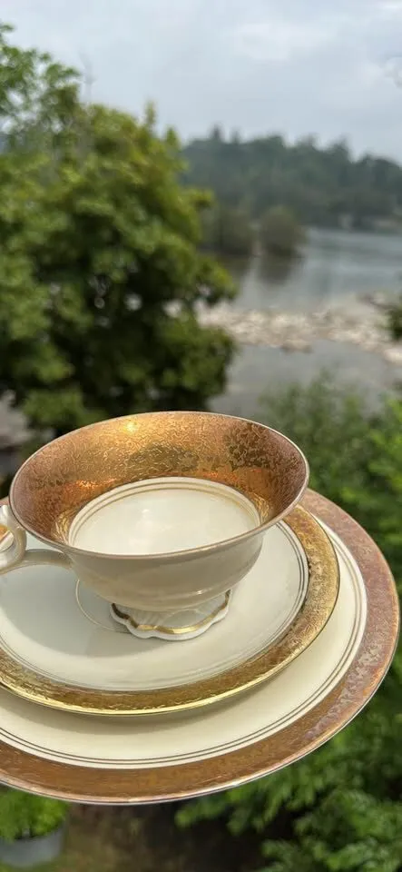 Vintage German Porcelain Tea Trios / Sammeltassen -Flawless Condition - photo 9