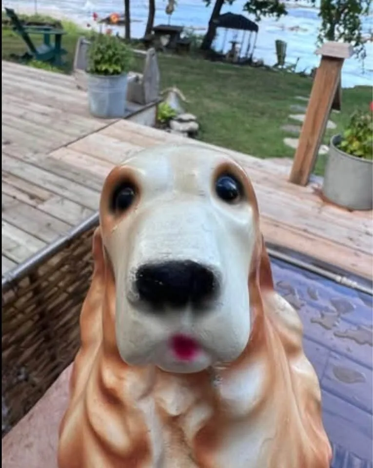 Vintage Chalkware Cocker Spaniel Coin Bank 1940s Carnival Prize - photo 4