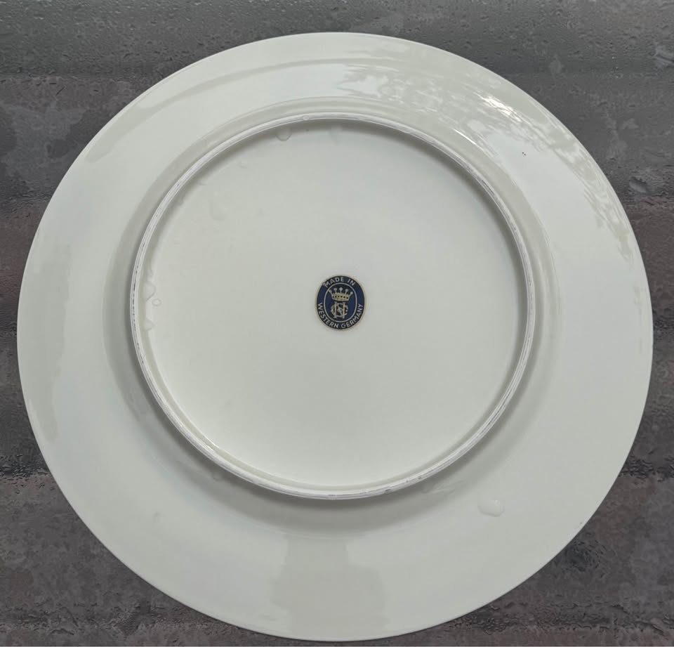 Rare Vintage 1960s JFK Commemorative Plate - NC Bavaria Western Germany Porcelain - photo 5