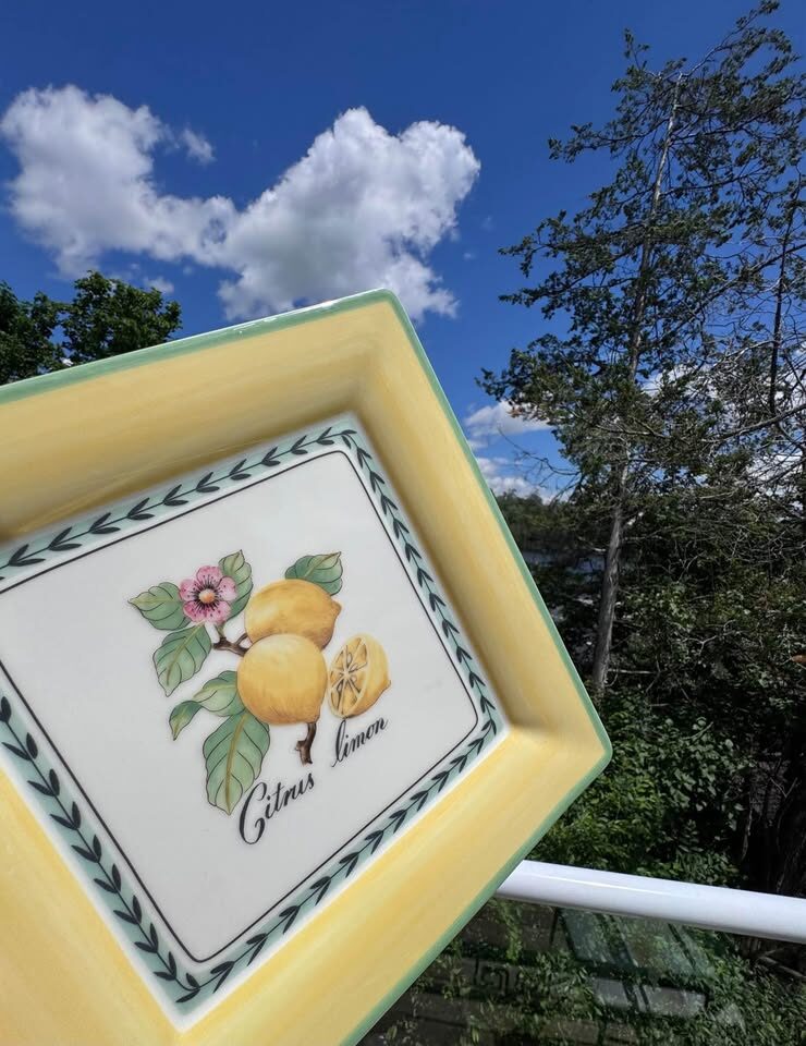 Villeroy & Boch French Garden Square Plate / Platter - photo 4