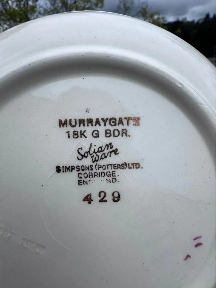 Solian Ware by Simpsons Potters Partial Set or Replacement Pieces - photo 2
