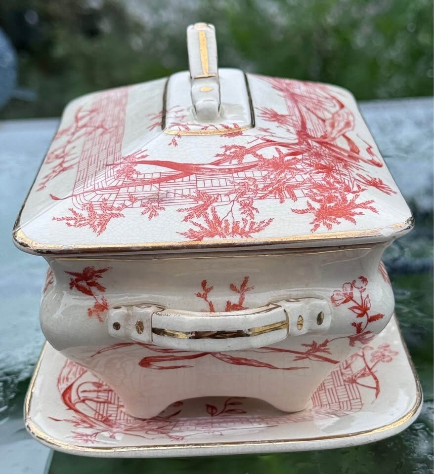 COMPLETE 1886 Antique Ridgways "Dee-Side" Sauce Tureen & Underplate - Rust Dragonfly Transferware - photo 5