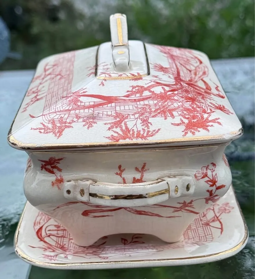 COMPLETE 1886 Antique Ridgways "Dee-Side" Sauce Tureen & Underplate - Rust Dragonfly Transferware - photo 5