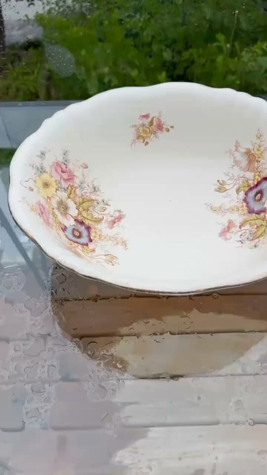 Antique S. Fielding & Co. (Crown Devon) Victorian Floral Wash Basin Bowl 1880-1913