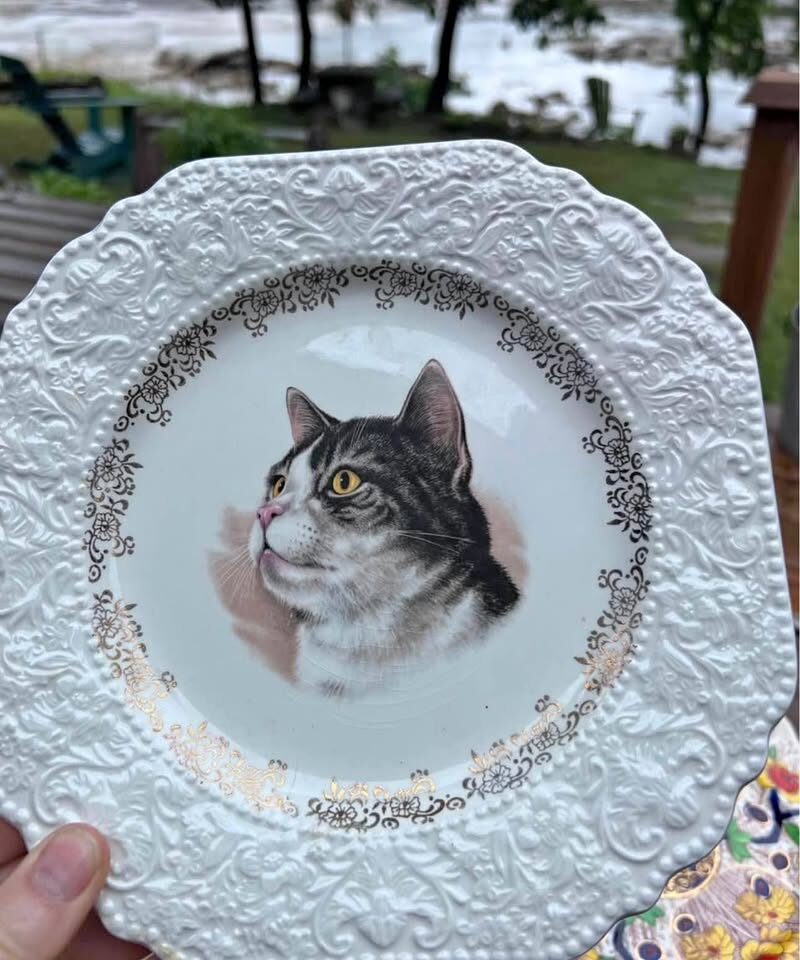 Vintage 1972 Lord Nelson Pottery Cat Collector Plate - Made in England