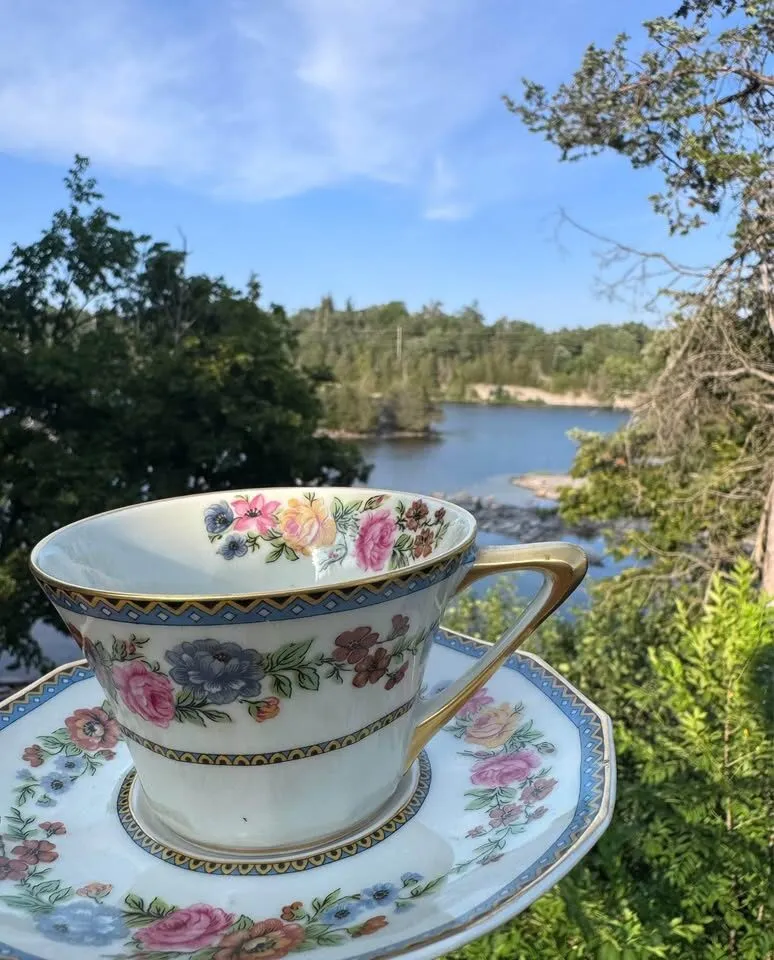 Antique Haviland Limoges 'Champlain' 24-Pc Tea Service for 4 + Extras" - photo 9