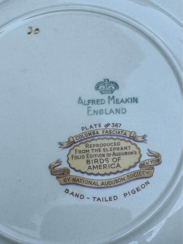 Vintage Alfred Meakin “Birds of America” Plate #367 Band tailed Pigeon - photo 4