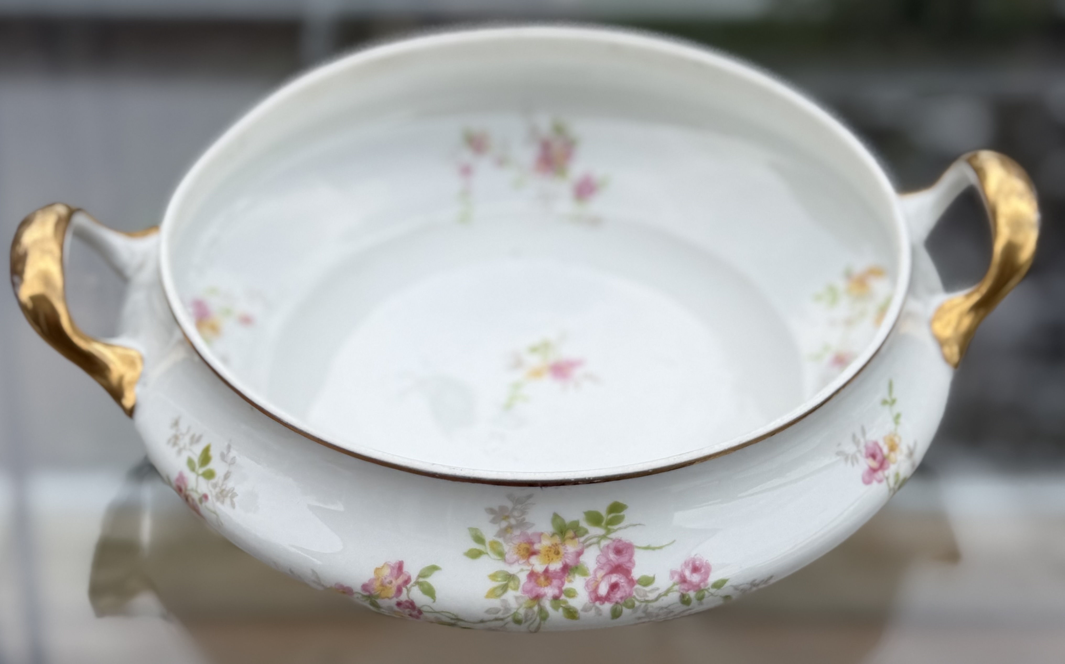 Vintage La Seynie Limoges France Porcelain Bowl - Perfect Centerpiece!